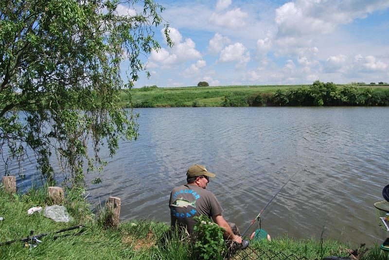 CUPA PESCARILOR - 16-18 MAI 2014 - II - cupa-pescarilor-sulimanu0117.JPG